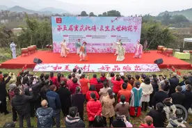重庆北碚：不负春光好时节 尽赏灼灼暖桃花图片