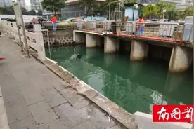 海口海甸五西路一车冲进海甸沟，众人砸破车窗救出司机图片
