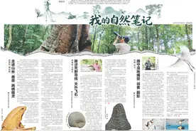 海南周刊丨我的自然笔记图片