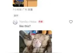 TikTok难民称中国网友非常热情:一天涨粉超6000图片