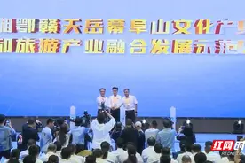加快建设湘鄂赣文旅共融互通 岳阳市旅游高质量发展推进会举行图片