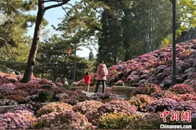 花园式街区镶嵌CBD 北京朝阳打造全龄友好公共空间图片