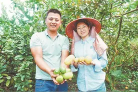 收好采摘指南 金秋瓜果香采摘正当时图片