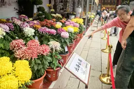 国庆来北海公园：白天观菊展，晚上赏演出图片