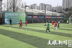 2025年第三届“白云杯”小学生足球赛开赛图片