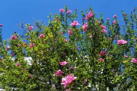 美图视界|秋天，放慢一下你匆匆的脚步（美丽烟台）图片