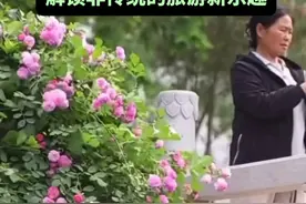 济南“反向旅游”新去处！济南文旅最新发布10个宝藏地方，解锁非传统的旅游新乐趣图片