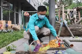 “西直门三太子”生日快乐！蛋糕上有9只“小鸟”图片