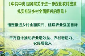 2025年中央一号文件发布图片
