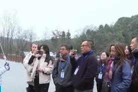 外语导游成“香饽饽”！重庆一旅行社外国游客订单飙涨80%图片