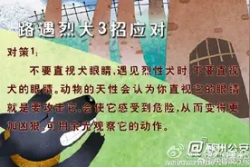 面对恶犬攻击，学会自我保护图片
