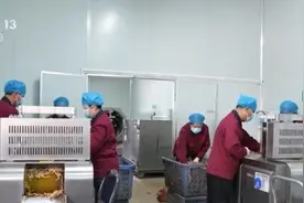 中医药“出海”需求旺盛 科技创新为中医药高质量发展插上翅膀图片