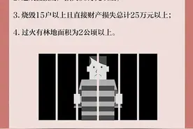 引以为戒！2人野外违规用火被处罚图片