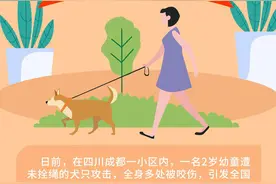 携犬出户应遵守什么规定？长沙这样规定！图片