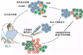 干细胞疗法，“永生”之舟？图片
