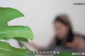 电诈园区生死经历：两年前，一位姐姐用5个月将弟弟救出图片