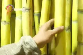 严重可危及生命！昆明市发布预警，这种霉变的水果千万不要吃！图片