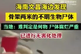海南发现“骨架两米”的不明生物尸体：渔民称或为花猫鲨，官方未确认图片