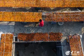 大场面 烟台福山区东厅街道盛产“薯”不尽的甜蜜图片