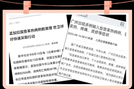 蚊虫叮咬指数较高，了解登革热，做好防护图片