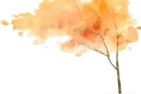 小兴知法丨注意！震楼神器半夜敲墙，此等行为违法图片