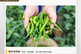 湖湘自然历丨如此多“椒” ①300元一市斤的辣椒里，有湘人灼烧的乡愁图片