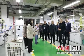 简阳市：加快推进中小企业服务体系建设 打造营商环境“最强内核”图片