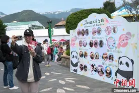 香港海洋公园为大熊猫龙凤胎宝宝举行“百日庆”活动图片