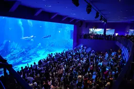 郑州海昌海洋公园开业，中原迎来首个大型海洋主题旅游度假区图片