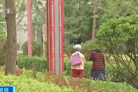“跨城养老”“旅居养老”悄然兴起 晚年生活新选择“亮”了图片