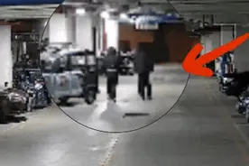 德州警方速擒“电瓶耗子”团伙图片