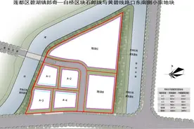 浙江丽水推出个人买地建房，记者探访：曾有两例个人购地后成立房地产公司开发图片