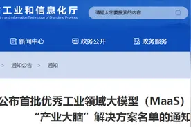 山东公布首批优秀工业领域大模型（MaaS）服务平台暨“产业大脑”解决方案名单图片