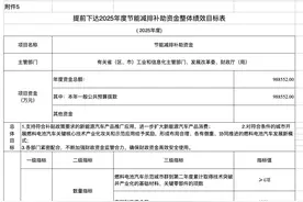 超98.85亿元！财政部提前下达2025年节能减排补助资金预算，事关新能源汽车补贴图片