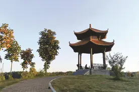 淮南大通湿地公园 冬日美不胜收图片
