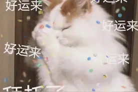 花市开出汽车大奖🤩！接好运→图片