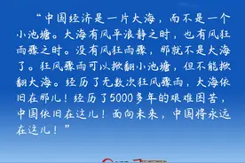 “中国经济是一片大海”图片