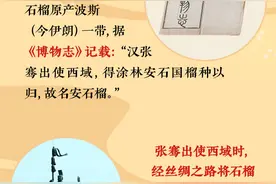 石榴红了①丨丝绸之路传来的“奇珍异果”图片