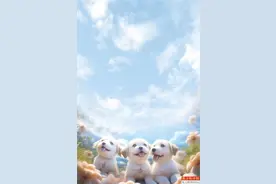 珠海违规养狗可入刑 犬只芯片“供不应求”图片