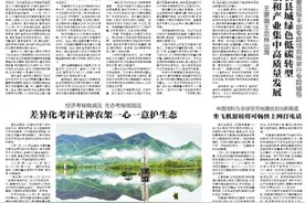 多地报告上半年出生人口增加：分析称与政策激励、属相偏好有关图片