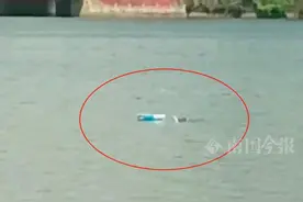 柳江河中央，这东西突然翻出水面！被拍下举报了图片