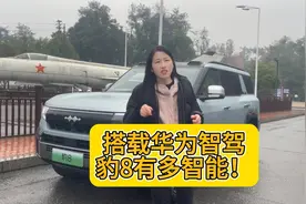 车市大羊毛｜牵手华为智驾后，方程豹豹８到底有多智能视频封面