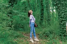 在日照！发现了一片“绿野仙踪”！太美了！图片