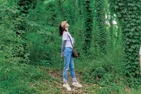 在日照！发现了一片“绿野仙踪”！太美了！图片