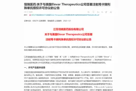 恒瑞医药PD-1单抗获海外授权 销售里程碑款达6亿美元图片