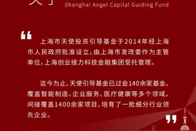 上海市天使投资引导基金2024年度盘点来了图片