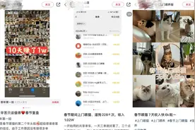 年轻人流行“搞副业”过春节：上门喂养宠物9天收入过万，摆摊日入过千图片