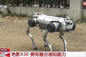能跳舞能拉货 AI加持让机器人拥有“武侠秘籍”图片