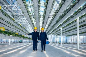 国网杭州市临平区供电公司：智能大棚电助力 “空中草莓”好前景图片