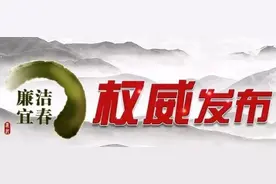 江西高安市村集体经济发展投资有限责任公司党支部书记、董事长何双宝被查！图片